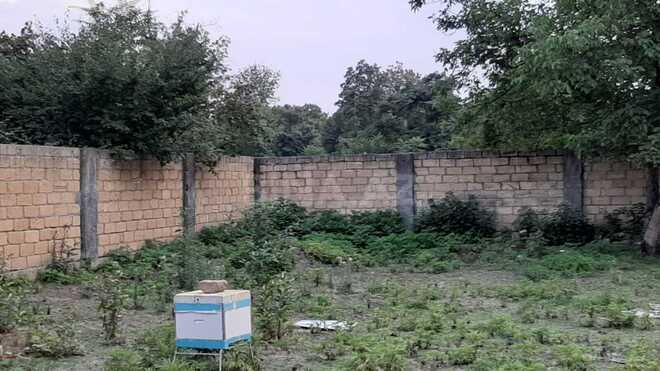 Satılır  torpaq 12.5 sot, photo 5 from 7