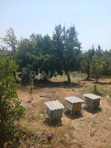 Продаётся 6-комн. дом/дача 232 м², photo 6 from 10