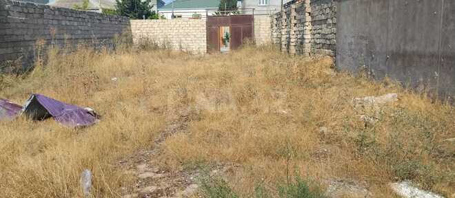 Сдаётся  участок 3 сот, пос. Бина, photo 5 from 6