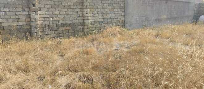 Сдаётся  участок 3 сот, пос. Бина, photo 4 from 6