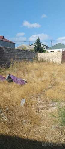 Сдаётся  участок 3 сот, пос. Бина, photo 3 from 6