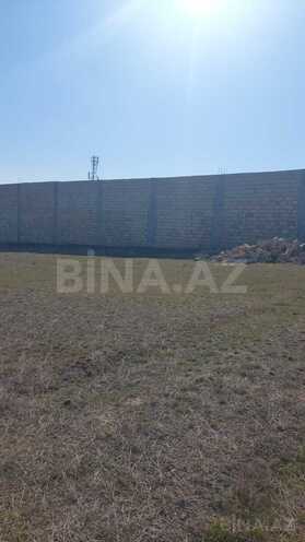 Продаётся  участок 800 сот, пос. Кобу, photo 3 from 6