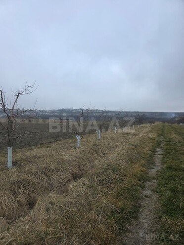 Satılır  torpaq 1 500 sot, photo 6 from 29