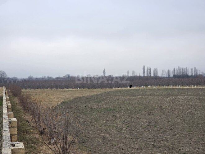 Satılır  torpaq 1 500 sot, photo 12 from 29