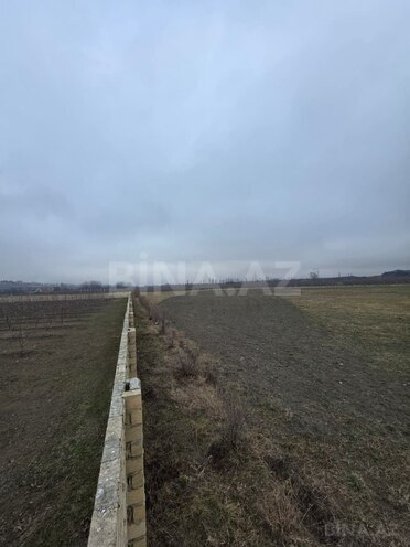 Satılır  torpaq 1 500 sot, photo 13 from 29