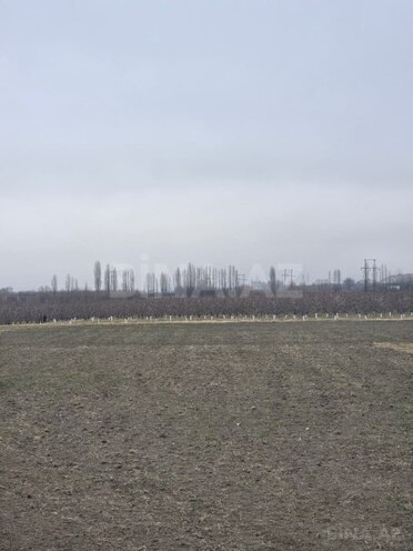 Satılır  torpaq 1 500 sot, photo 17 from 29