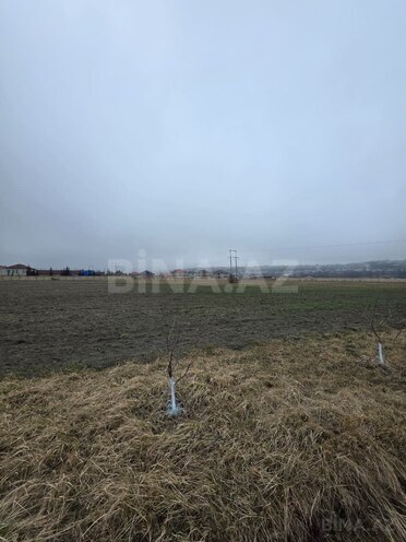 Satılır  torpaq 1 500 sot, photo 18 from 29