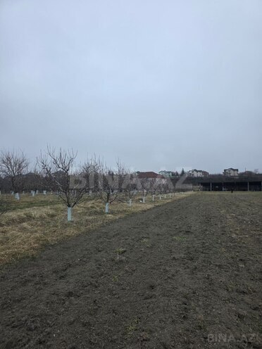 Satılır  torpaq 1 500 sot, photo 21 from 29