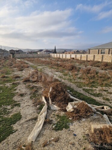 Satılır  torpaq 12 sot, Pirəkəşkül q., photo 6 from 7
