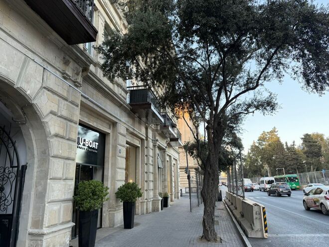 Продаётся 2-комн. вторичка 53 м², м. Сахил, photo 4 from 24