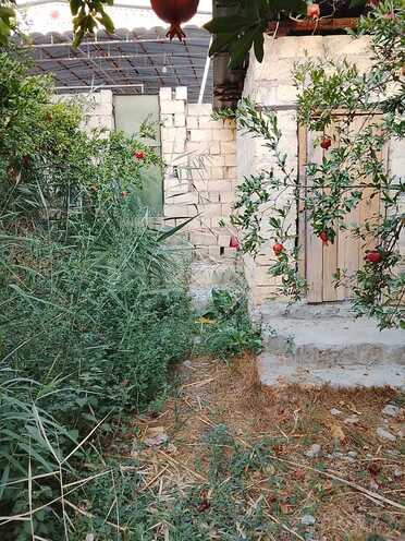 Satılır  torpaq 8 sot, photo 5 from 13