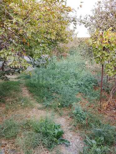 Satılır  torpaq 8 sot, photo 8 from 13