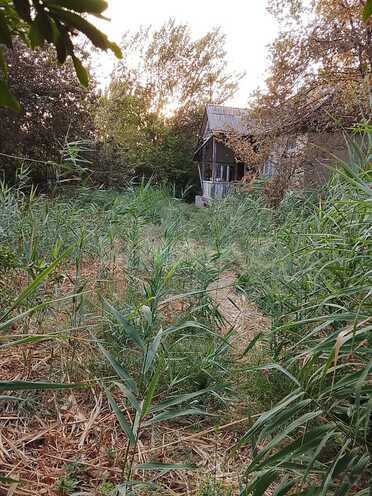 Satılır  torpaq 8 sot, photo 4 from 13