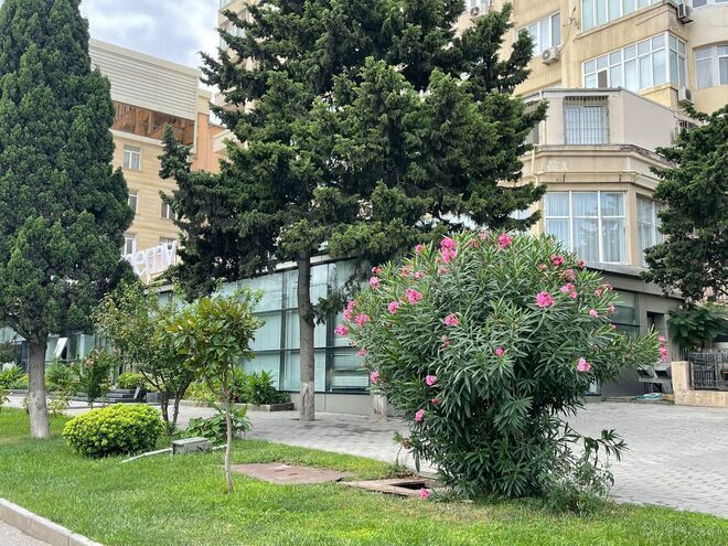 İcarəyə verilir 1 otaqlı ofis 17 m², Elmlər Akademiyası m., photo 7 from 11