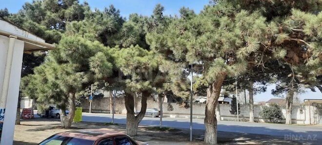 Satılır  obyekt 480 m², Maştağa q., photo 6 from 11