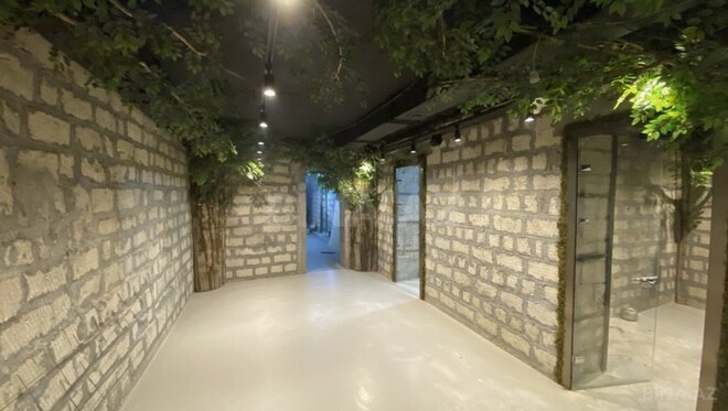 İcarəyə verilir  obyekt 412 m², Sahil m., photo 3 from 8