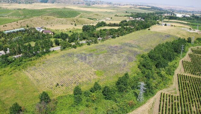 Satılır  torpaq 280 sot, photo 3 from 7