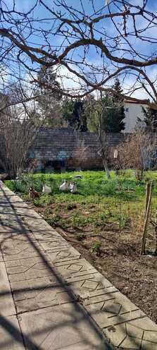 Satılır  torpaq 6 sot, Qaraçuxur q., photo 3 from 17