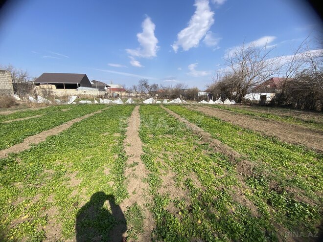 Satılır 9 otaqlı həyət evi/bağ evi 450 m², photo 4 from 12