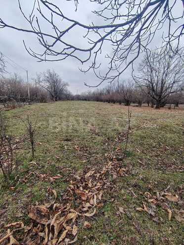 Satılır  torpaq 22 sot, photo 3 from 7