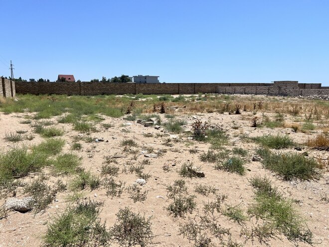 Satılır  torpaq 250 sot, Türkan q., photo 3 from 7