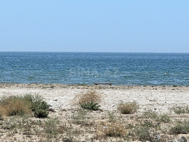 Satılır  torpaq 250 sot, Türkan q., photo 4 from 7