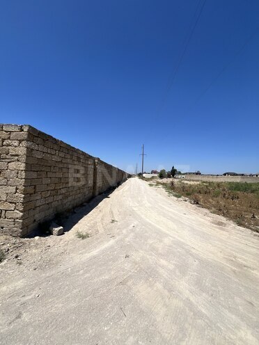 Satılır  torpaq 250 sot, Türkan q., photo 6 from 7