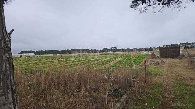 Satılır  torpaq 130 sot, Maştağa q., photo 3 from 4