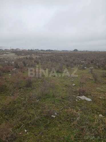 Satılır  torpaq 500 sot, Buzovna q., photo 6 from 13