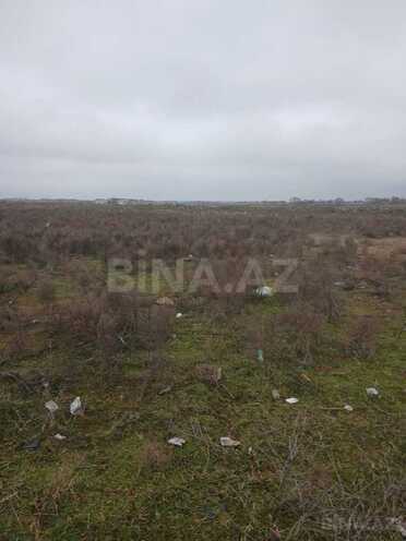 Satılır  torpaq 500 sot, Buzovna q., photo 7 from 13