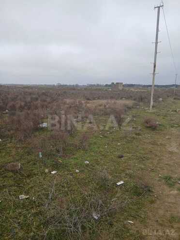 Satılır  torpaq 500 sot, Buzovna q., photo 8 from 13