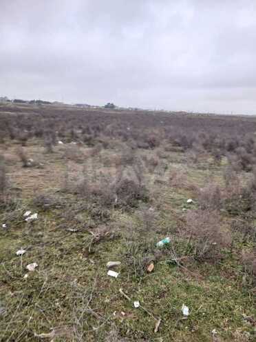 Satılır  torpaq 500 sot, Buzovna q., photo 11 from 13