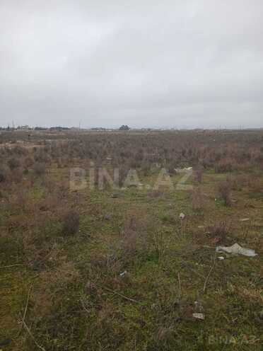 Satılır  torpaq 500 sot, Buzovna q., photo 10 from 13