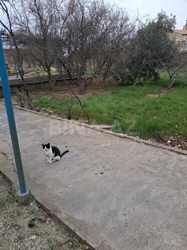 Satılır 5 otaqlı həyət evi/bağ evi 200 m², Sabunçu q., photo 18 from 32