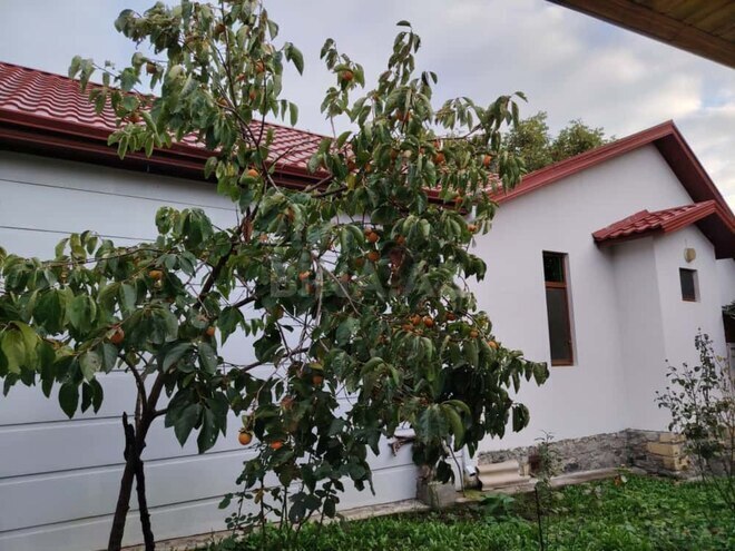 İcarəyə verilir 4 otaqlı həyət evi/bağ evi 255 m², photo 5 from 32