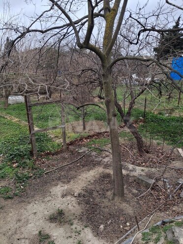 Продаётся  участок 10 сот, пос. Сабунчи , photo 3 from 19