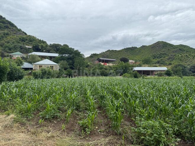 Satılır  torpaq 25 sot, photo 3 from 8