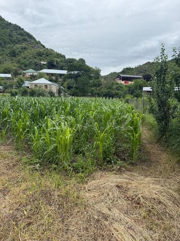 Satılır  torpaq 25 sot, photo 4 from 8