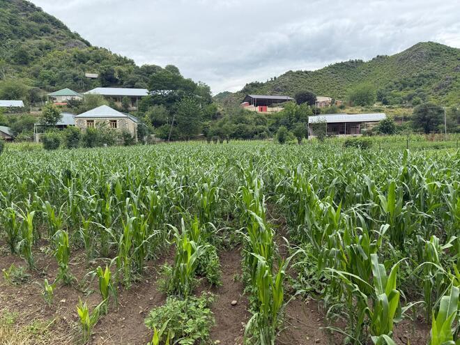 Satılır  torpaq 25 sot, photo 7 from 8