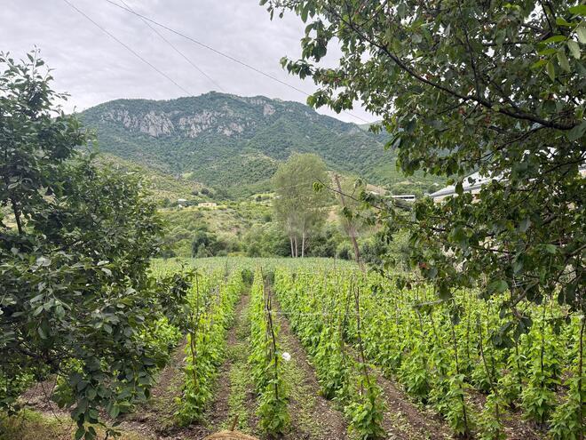 Satılır  torpaq 25 sot, photo 6 from 8