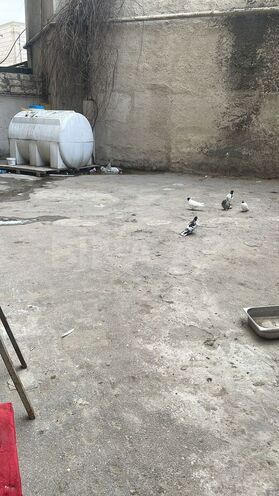 Продаётся  объект 260 м², пос. Баилова, photo 7 from 20