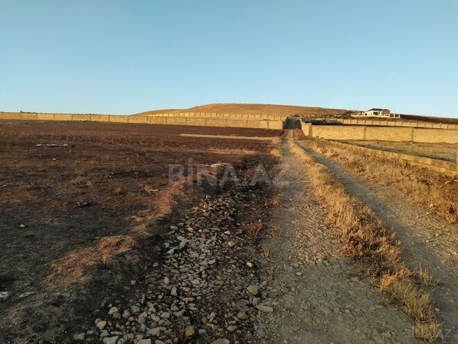 Сдаётся  участок 54 сот, пос. Мехтиабад, photo 4 from 6