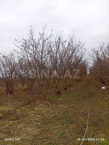 Satılır  torpaq 72 sot, Xaçmaz r., photo 3 from 7