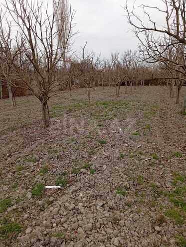 Satılır  torpaq 20 sot, photo 4 from 7