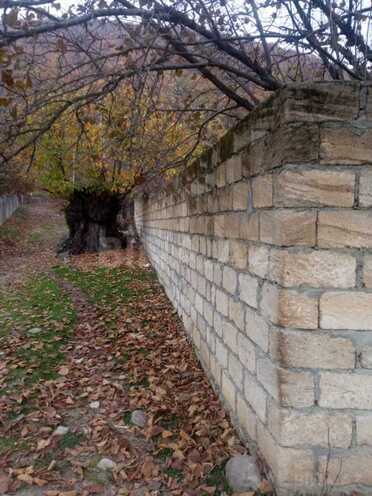 Satılır  torpaq 12 sot, photo 6 from 12