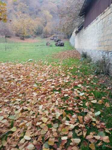 Satılır  torpaq 12 sot, photo 5 from 12