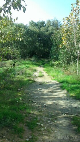 Продаётся  участок 18 сот, пос. Ази Асланова, photo 6 from 7