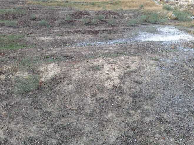 Satılır  torpaq 60 sot, Masazır q., photo 7 from 12