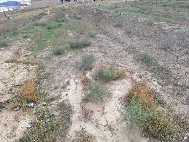 Satılır  torpaq 60 sot, Masazır q., photo 9 from 12