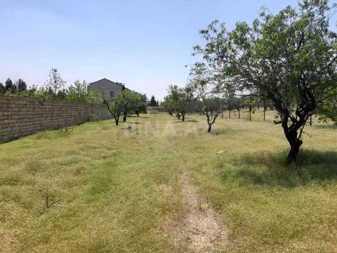 Satılır  torpaq 16.5 sot, Masazır q., photo 4 from 10